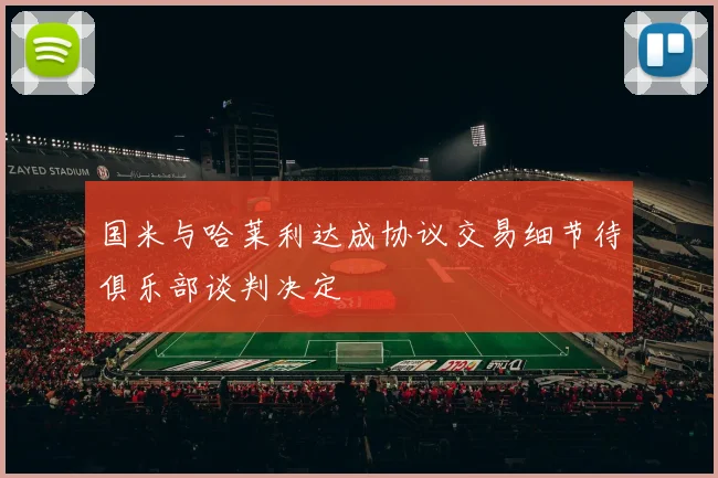 国米与哈莱利达成协议交易细节待俱乐部谈判决定