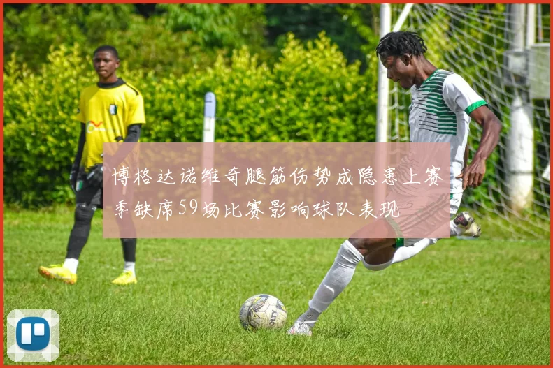 博格达诺维奇腿筋伤势成隐患上赛季缺席59场比赛影响球队表现