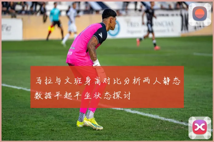 马拉与文班身高对比分析两人静态数据平起平坐状态探讨